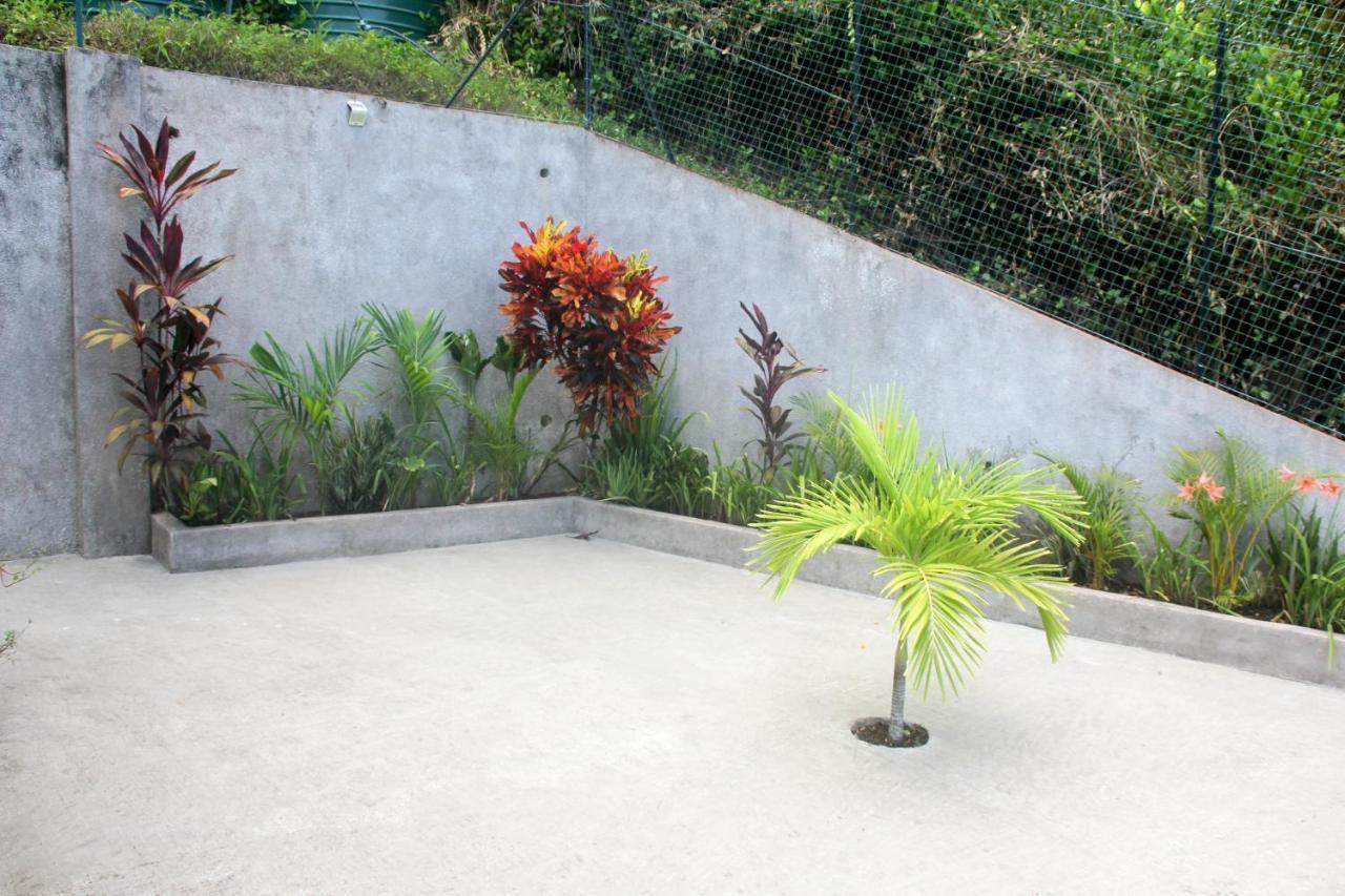 Exotic Guest House Anse Volbert Village Exterior foto